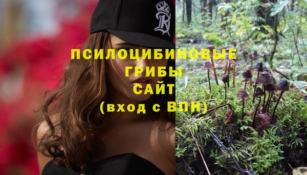 марки lsd Алексин