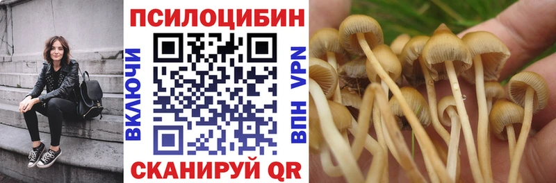 даркнет сайт мега зеркало Псилоцибиновые грибы мицелий Чехов